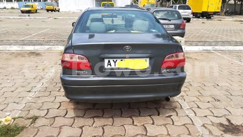 Big with watermark 30629329 194112211393369 244064733525704704 n