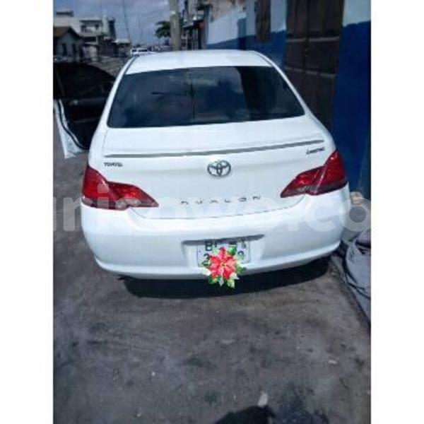 Big with watermark 30629329 194112211393369 244064733525704704 n