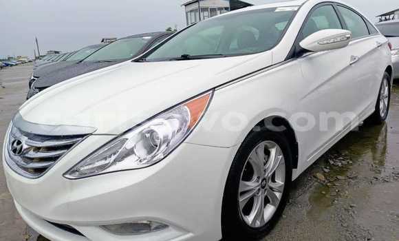 Sayi Na hannu Hyundai Sonata White Mota in Cotonou a Benin Sayi Na hannu Hyundai Sonata White Mota in Cotonou a Benin