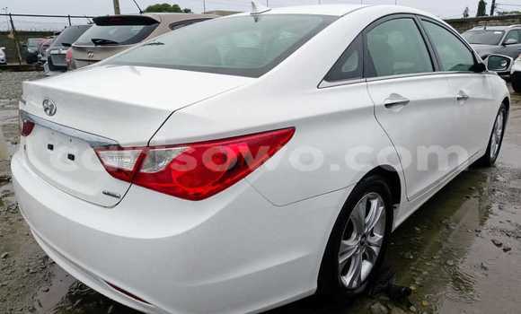 Sayi Na hannu Hyundai Sonata White Mota in Cotonou a Benin Sayi Na hannu Hyundai Sonata White Mota in Cotonou a Benin
