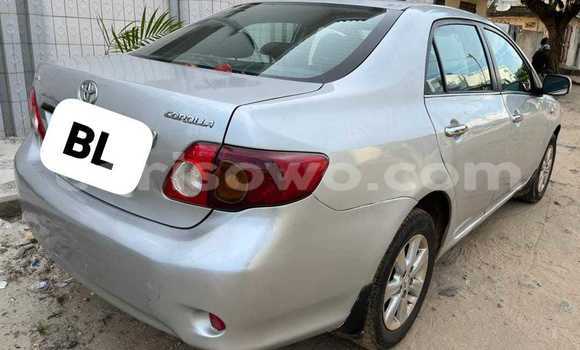 Acheter Occasion Voiture Toyota Corolla Gris à Cotonou, Benin Acheter Occasion Voiture Toyota Corolla Gris à Cotonou, Benin