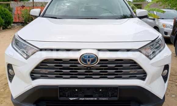 Buy New Toyota RAV4 White Car in Cotonou in Benign