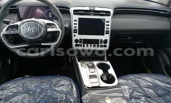 Sayi Na hannu Hyundai Tucson Sauran Mota in Cotonou a Benin Sayi Na hannu Hyundai Tucson Sauran Mota in Cotonou a Benin