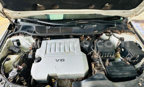 Ra Àlòkù Toyota Venza funfun Ọkọ̀ in Cotonou ni Benin Ra Àlòkù Toyota Venza funfun Ọkọ̀ in Cotonou ni Benin