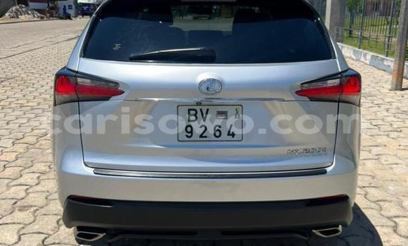 Acheter Occasion Voiture Lexus NX Autre à Cotonou, Benin Acheter Occasion Voiture Lexus NX Autre à Cotonou, Benin