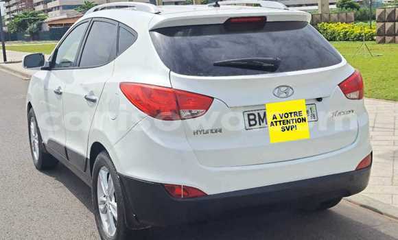 Acheter Occasion Voiture Hyundai Tucson Blanc à Cotonou, Benin Acheter Occasion Voiture Hyundai Tucson Blanc à Cotonou, Benin