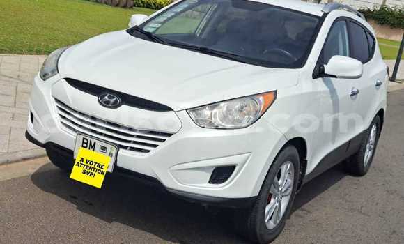 Acheter Occasion Voiture Hyundai Tucson Blanc à Cotonou, Benin Acheter Occasion Voiture Hyundai Tucson Blanc à Cotonou, Benin