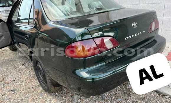 Ra Àlòkù Toyota Corolla Alawọ ewe Ọkọ̀ in Cotonou ni Benin Ra Àlòkù Toyota Corolla Alawọ ewe Ọkọ̀ in Cotonou ni Benin