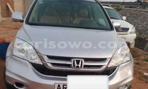 Acheter Occasion Voiture Honda CR–V Gris à Cotonou, Benin