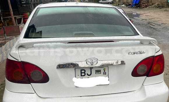 Ra Àlòkù Toyota Corolla funfun Ọkọ̀ in Cotonou ni Benin Ra Àlòkù Toyota Corolla funfun Ọkọ̀ in Cotonou ni Benin