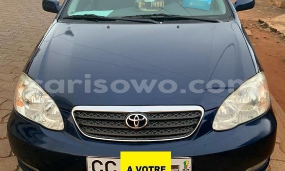 Acheter Occasion Voiture Toyota Corolla Bleu à Cotonou, Benin