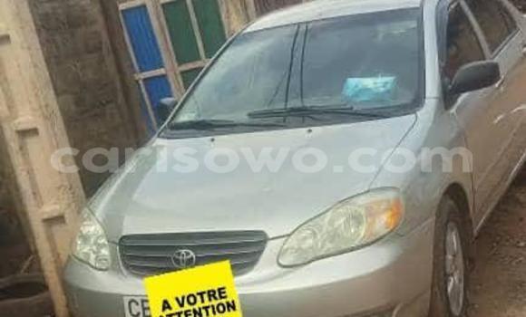 Buy Used Toyota Corolla Silver Car in Porto Novo in Benign