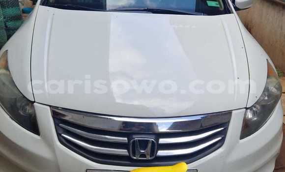 Ra Àlòkù Honda Accord funfun Ọkọ̀ in Cotonou ni Benin