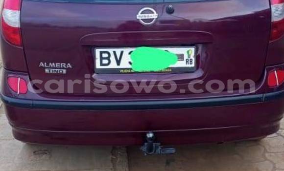 Acheter Occasion Voiture Nissan Almera Rouge à Banikoara, Benin Acheter Occasion Voiture Nissan Almera Rouge à Banikoara, Benin