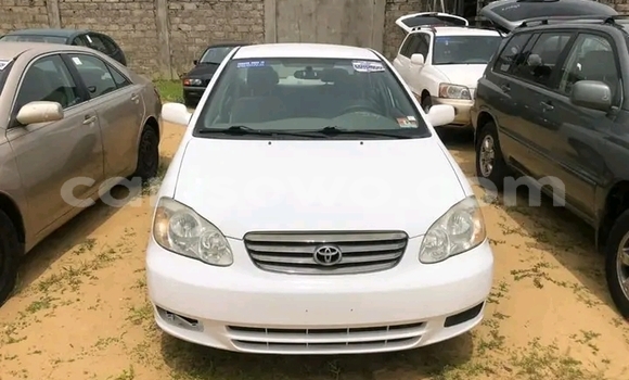 Sayi Na hannu Toyota Corolla White Mota in Cotonou a Benin Sayi Na hannu Toyota Corolla White Mota in Cotonou a Benin