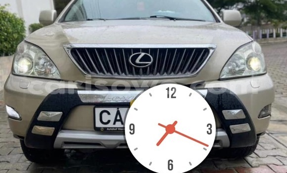 Buy Used Lexus RX 330 Silver Car in Cotonou in Benign
