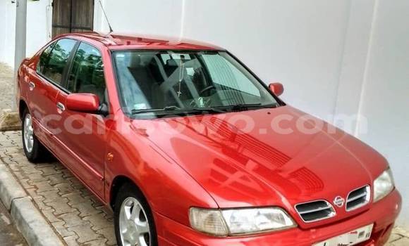 Acheter Occasion Voiture Nissan Primera Rouge à Cotonou, Benin Acheter Occasion Voiture Nissan Primera Rouge à Cotonou, Benin