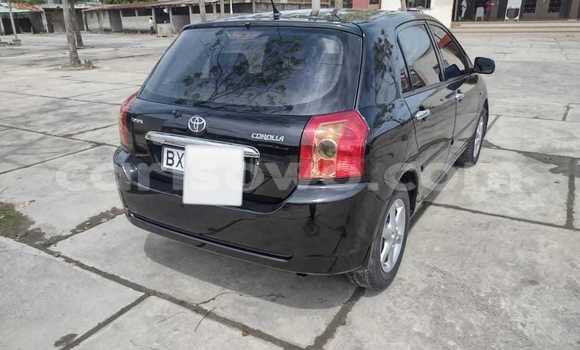 Buy Used Toyota Corolla Black Car in Cotonou in Benign