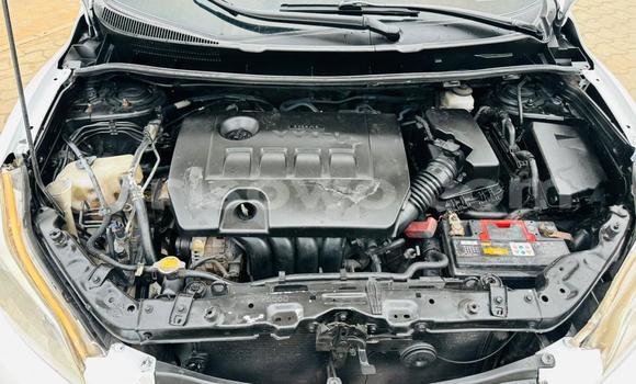 Ra Àlòkù Toyota Matrix funfun Ọkọ̀ in Cotonou ni Benin Ra Àlòkù Toyota Matrix funfun Ọkọ̀ in Cotonou ni Benin