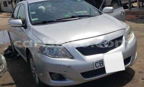Acheter Occasion Voiture Toyota Corolla Gris à Cotonou, Benin