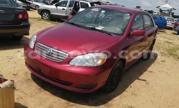 Acheter Import Voiture Toyota Corolla Rouge à Cotonou, Benin