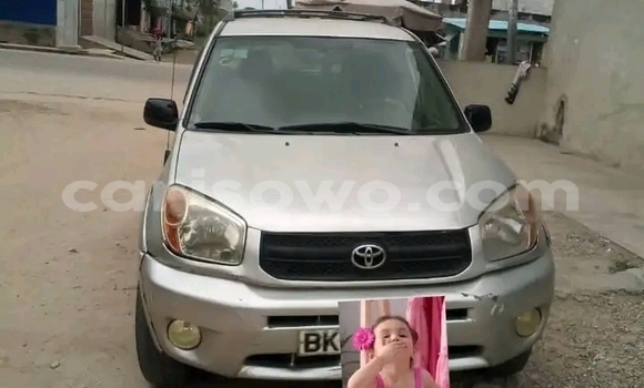 Acheter Occasion Voiture Toyota RAV4 Beige à Cotonou, Benin