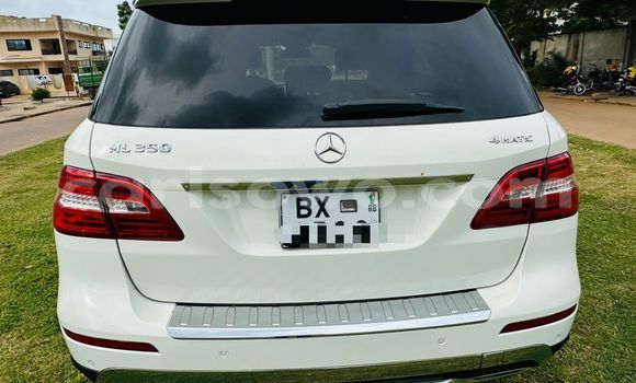 Sayi Na hannu Mercedes Viano White Mota in Cotonou a Benin Sayi Na hannu Mercedes Viano White Mota in Cotonou a Benin