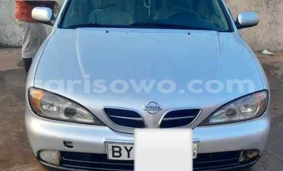 Acheter Occasion Voiture Nissan Primera Gris à Cotonou, Benin