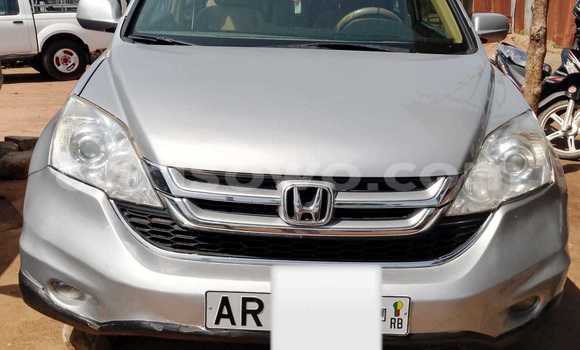 Buy Used Honda CR–V Silver Car in Cotonou in Benign