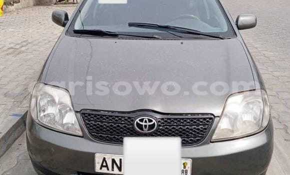 Acheter Occasion Voiture Toyota Corolla Marron à Cotonou, Benin