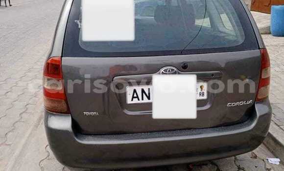 Sayi Na hannu Toyota Corolla Brown Mota in Cotonou a Benin Sayi Na hannu Toyota Corolla Brown Mota in Cotonou a Benin