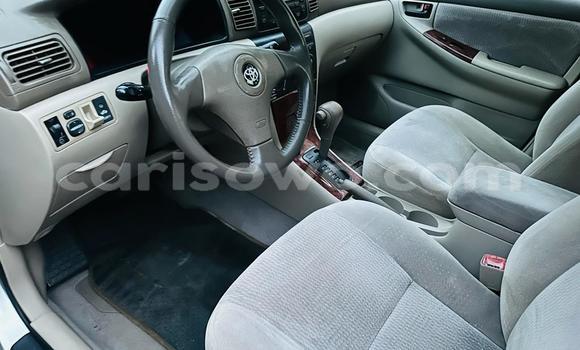 Acheter Occasion Voiture Toyota Corolla Gris à Cotonou, Benin Acheter Occasion Voiture Toyota Corolla Gris à Cotonou, Benin