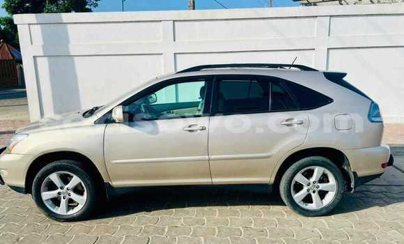Sayi Na hannu Lexus RX 330 Sauran Mota in Abomey a Benin