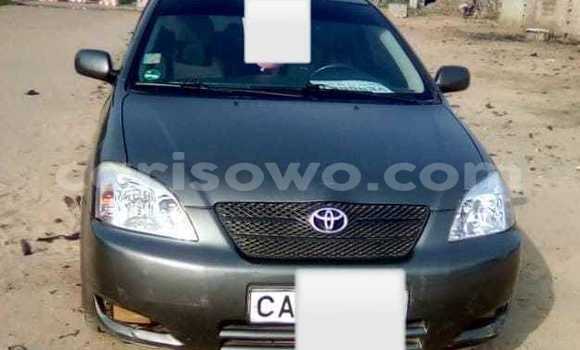 Sayi Na hannu Toyota Corolla Green Mota in Cotonou a Benin