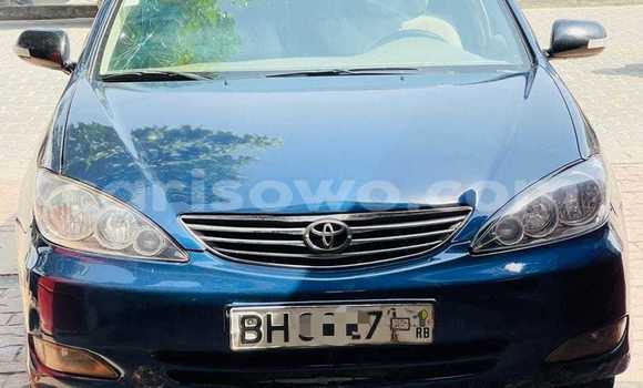Acheter Occasion Voiture Toyota Camry Bleu à Abomey, Benin