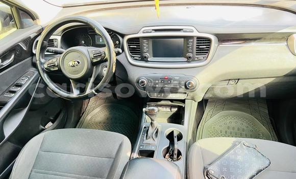 Sayi Na hannu Kia Sorento Azurfa Mota in Cotonou a Benin Sayi Na hannu Kia Sorento Azurfa Mota in Cotonou a Benin