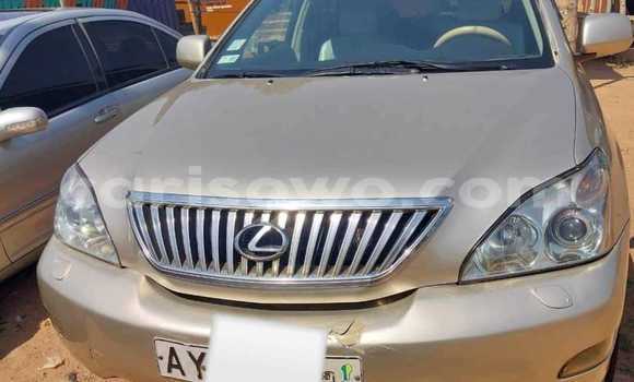Sayi Na hannu Lexus RX 330 M Mota in Cotonou a Benin