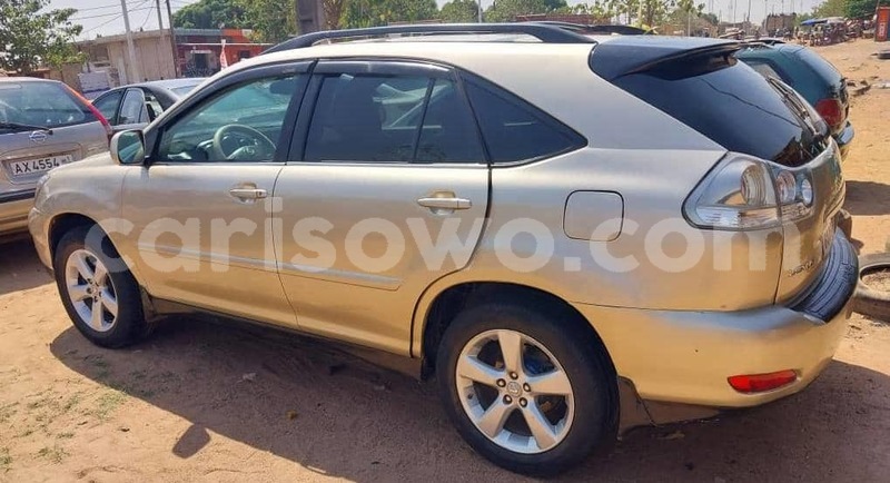 Big with watermark lexus rx 330 benin cotonou 18319