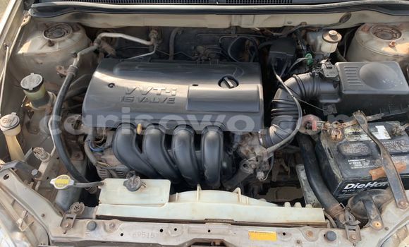 Buy Used Toyota Corolla Beige Car in Cotonou in Benign Buy Used Toyota Corolla Beige Car in Cotonou in Benign