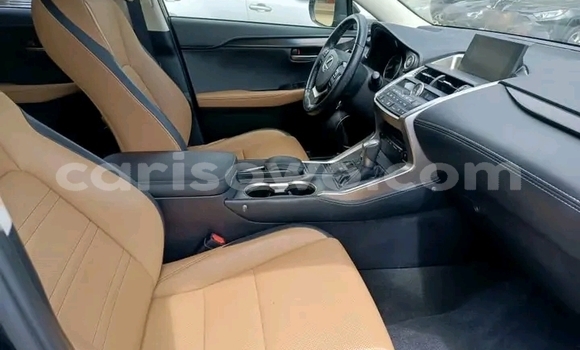 Sayi Na hannu Lexus NX Sauran Mota in Cotonou a Benin Sayi Na hannu Lexus NX Sauran Mota in Cotonou a Benin