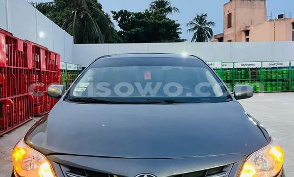 Acheter Occasion Voiture Toyota Corolla Autre à Cotonou, Benin Acheter Occasion Voiture Toyota Corolla Autre à Cotonou, Benin