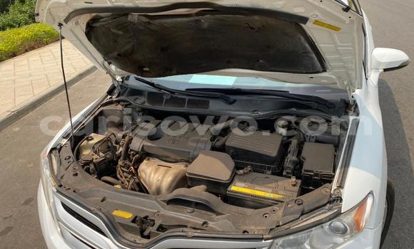 Ra Àlòkù Toyota Venza funfun Ọkọ̀ in Cotonou ni Benin Ra Àlòkù Toyota Venza funfun Ọkọ̀ in Cotonou ni Benin