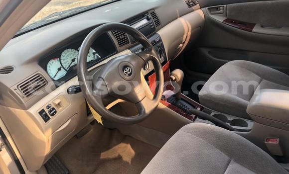 Buy Used Toyota Corolla Brown Car in Cotonou in Benign Buy Used Toyota Corolla Brown Car in Cotonou in Benign