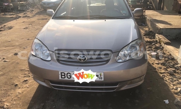 Buy Used Toyota Corolla Brown Car in Cotonou in Benign Buy Used Toyota Corolla Brown Car in Cotonou in Benign