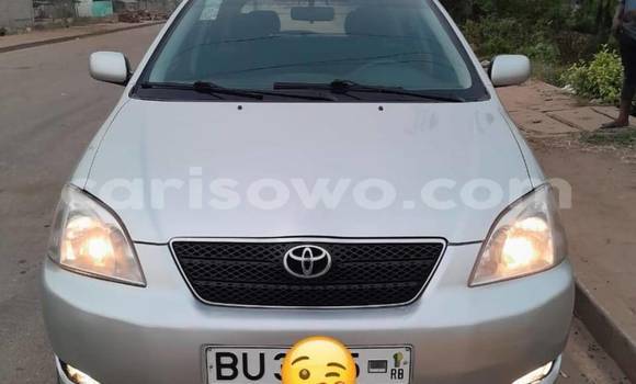 Sayi Na hannu Toyota Corolla Sauran Mota in Cotonou a Benin