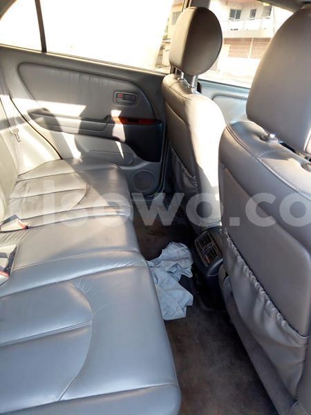 Big with watermark 46516380 195765858034813 2026077777379196928 n