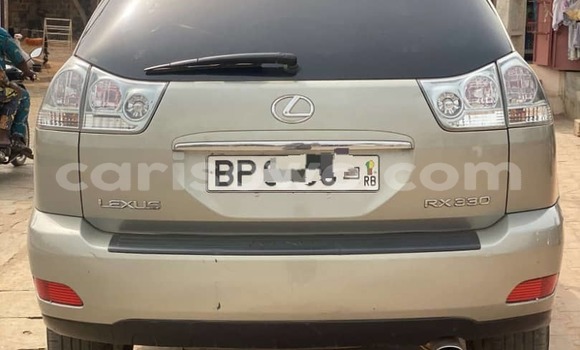 Sayi Na hannu Lexus RX 330 Sauran Mota in Cotonou a Benin