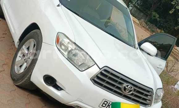 ハイランダー Amazon.com: FridayParts Water Temperature Sensor 8-98156648