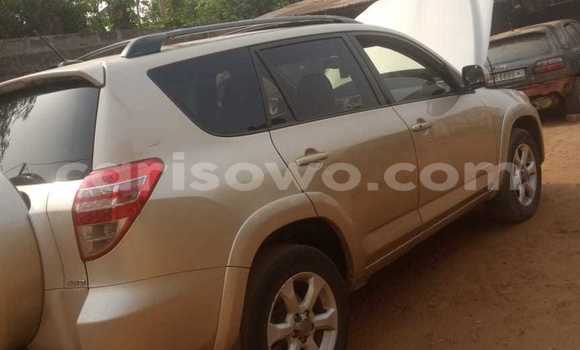Buy Used Toyota RAV4 Other Car in Cotonou in Benign
