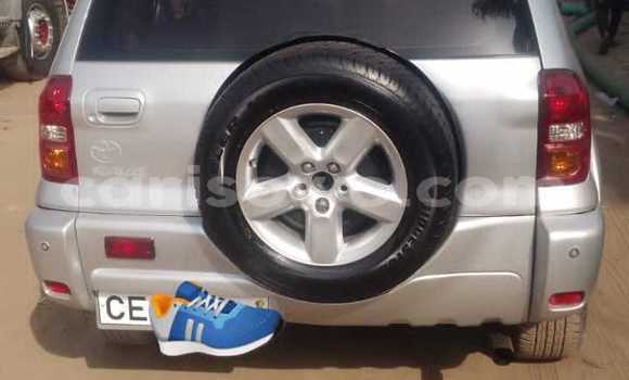 Buy Used Toyota RAV4 Silver Car in Cotonou in Benign